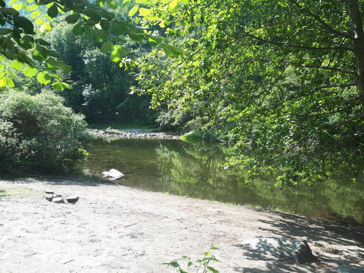 Appartamento La Meridiana A Traffiume Cannobio Eksteriør billede